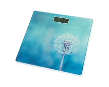 BREEZE (Personenwaage) Blau, Tragkraft bis 180 kg , Messgenauigkeit 100 g , Einheiten kg / lb , LCD--Di