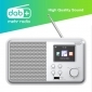 DAB 300 IR weiß, WLAN-Internet Radio mit DAB+ Empfang, Bluetooth, Wecker, USB, UPnP, Musik Streaming, 6,1 cm Farb-TFT-Display