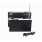 AX Soundpath lite+, Universal-FM-/Internet-Radio mit Bluetooth-Lautsprecher