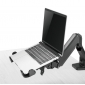 HLA2L, Laptop Adapter-Halterung, für Laptops: 11"-17" (28-43 cm), Belastung: bis 4 kg, VESA: 75 / 100
