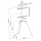 HT21WL weiß / Buche hell, Staffelei/Bodenstativ für Flachbildschirme, 50" - 65"