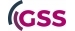 GSS Grundig